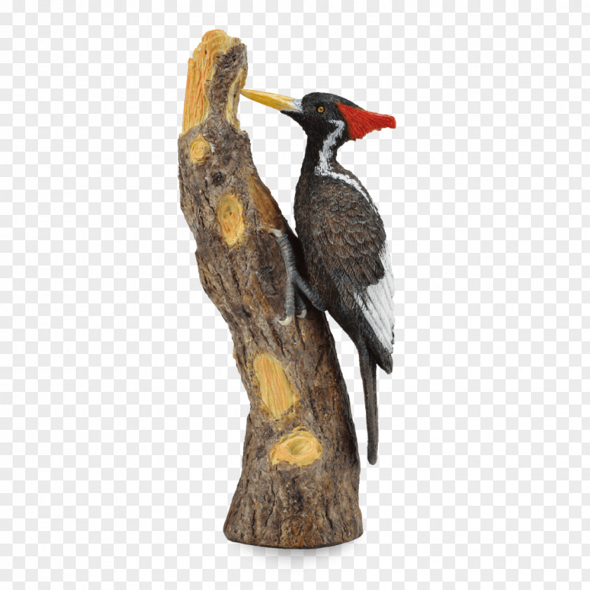 Bird Ivory-billed Woodpecker AAD TOTAL ADMINISTRATION SRL Horse PNG