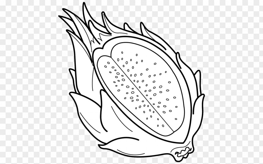 Dragon Fruit Pitaya Coloring Book Clip Art PNG