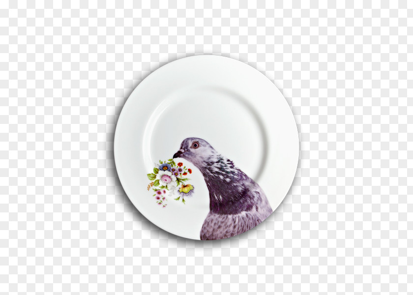 Plate Modernist Cuisine Porcelain Dinner Food PNG