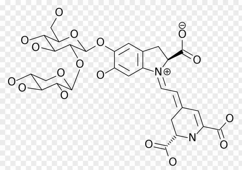 Betalain Common Beet Anthocyanin Carotenoid Anthocyanidin PNG