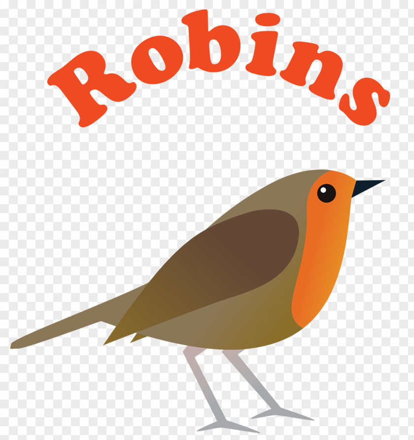 Finch Wren Robin Bird PNG