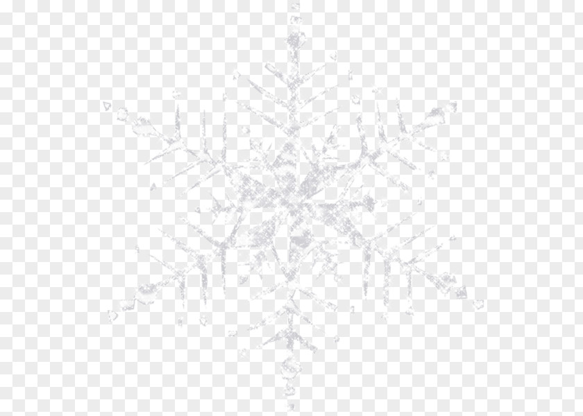 Snowflake Symmetry Line White Pattern PNG