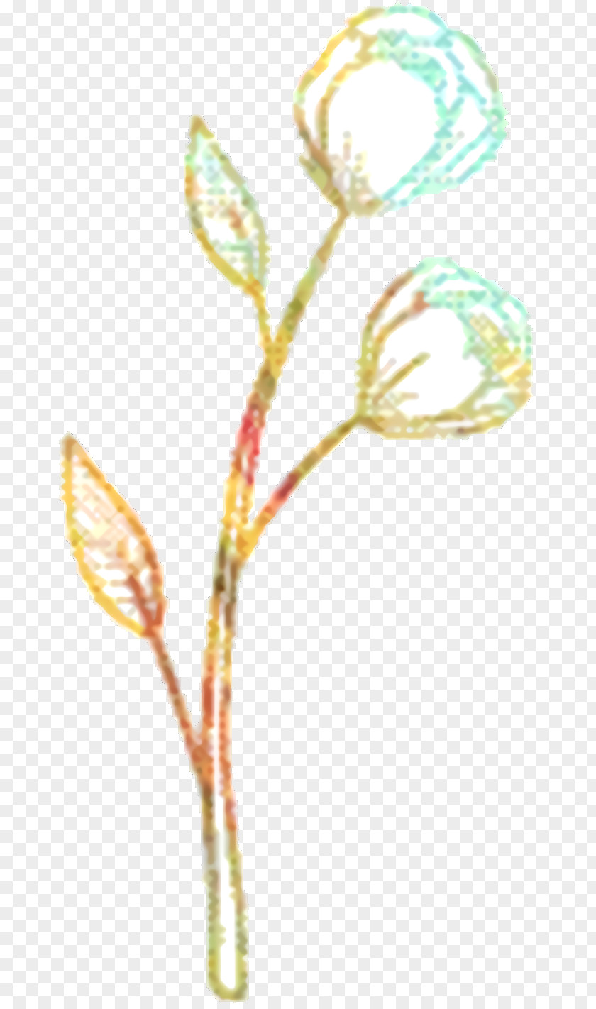 Wildflower Pedicel Twig Background PNG