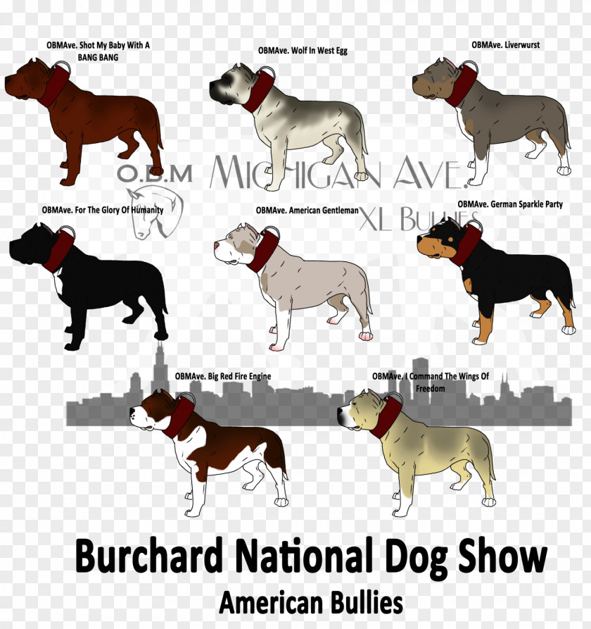Dog Show Breed Font PNG