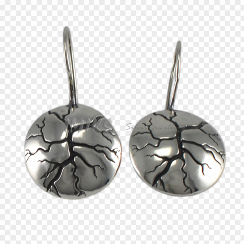 Gemstone Earring Silver PNG