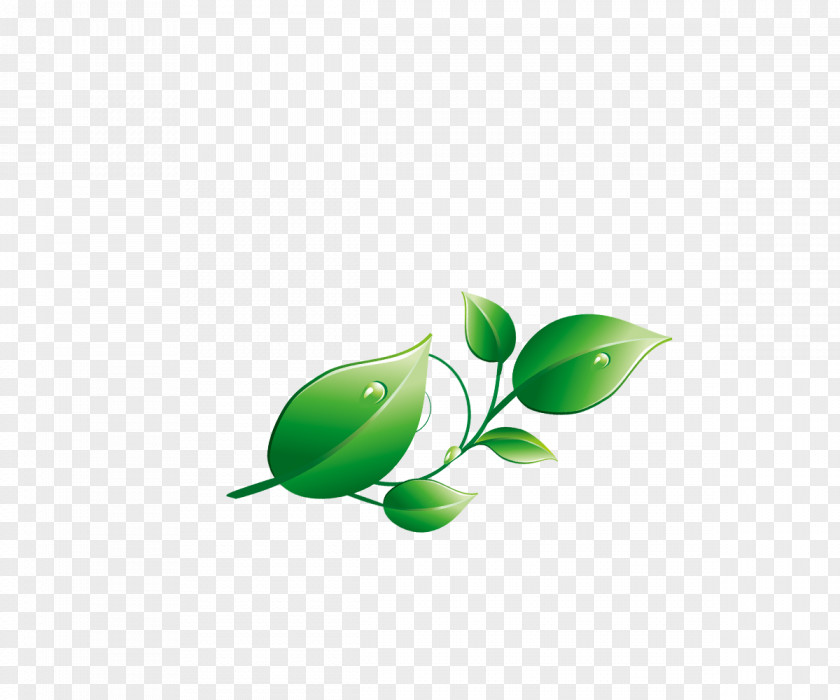 Green Leaves Wallpaper PNG