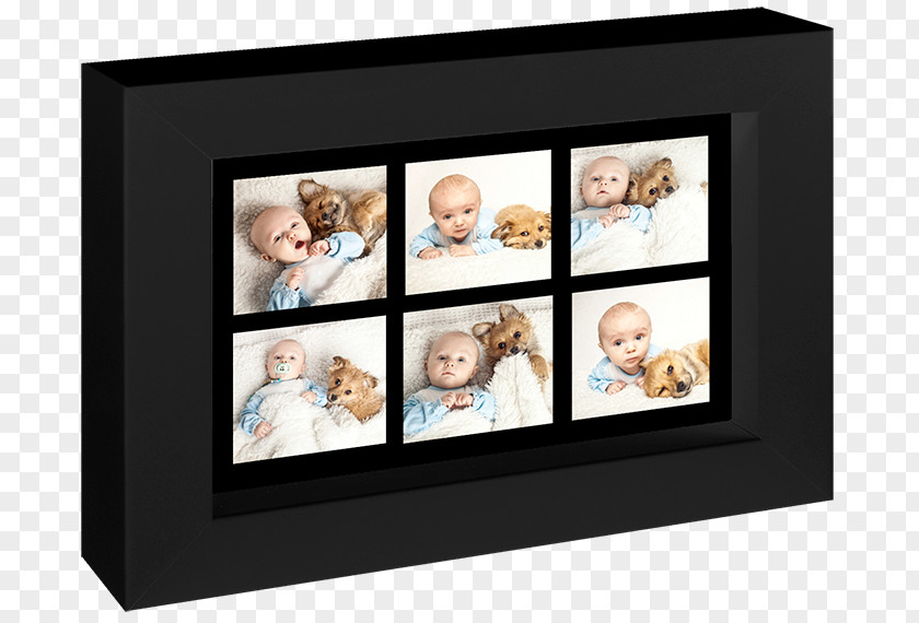 Digital Products Album Price Instagram Photo Albums Photography PNG