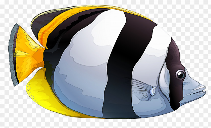 Helmet Yellow Personal Protective Equipment Headgear Butterflyfish PNG