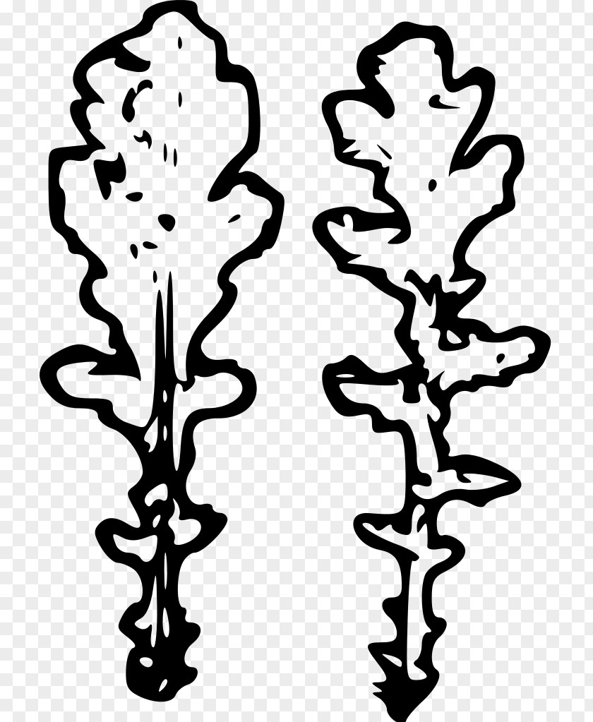Leaf Doodle Plant Stem Flower Line Clip Art PNG
