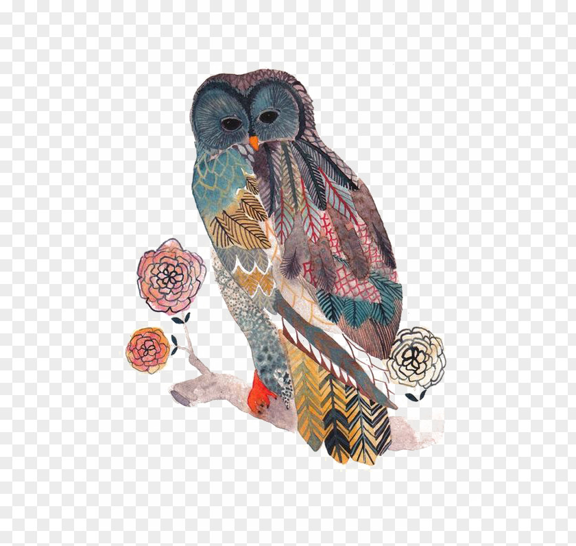 Owl Bird Watercolor Painting Drawing PNG