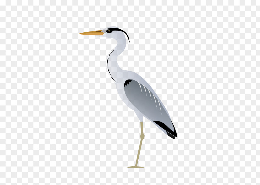 Bird Grey Heron Egret Flamingos Clip Art PNG