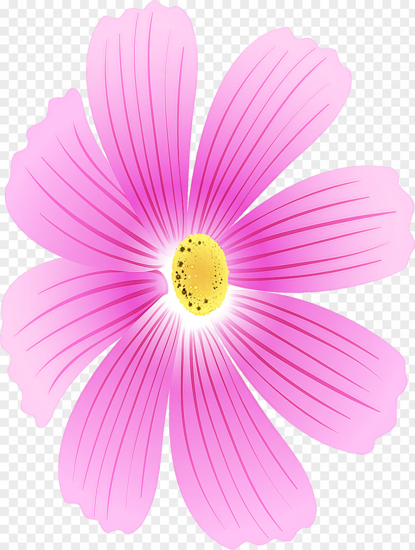 Gerbera Herbaceous Plant Flowering Petal Flower Pink Barberton Daisy PNG