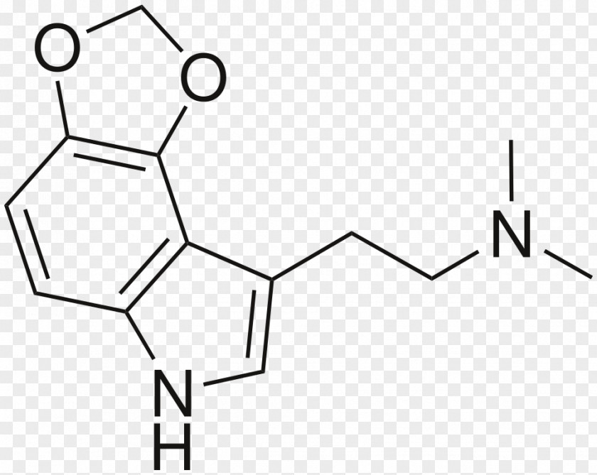 Serotonin 5-HT Receptor Serotonergic Neurotransmitter N,N-Dimethyltryptamine PNG