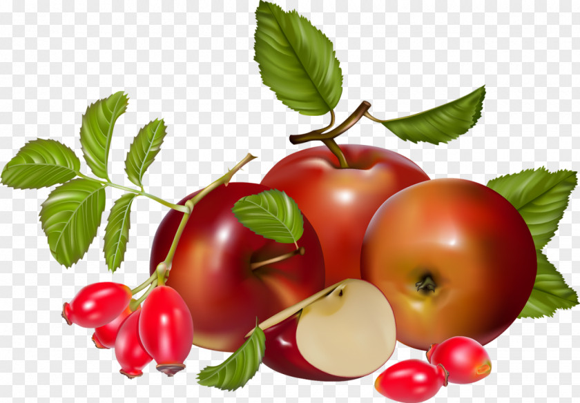 Tomato Food Barbados Cherry Berry PNG