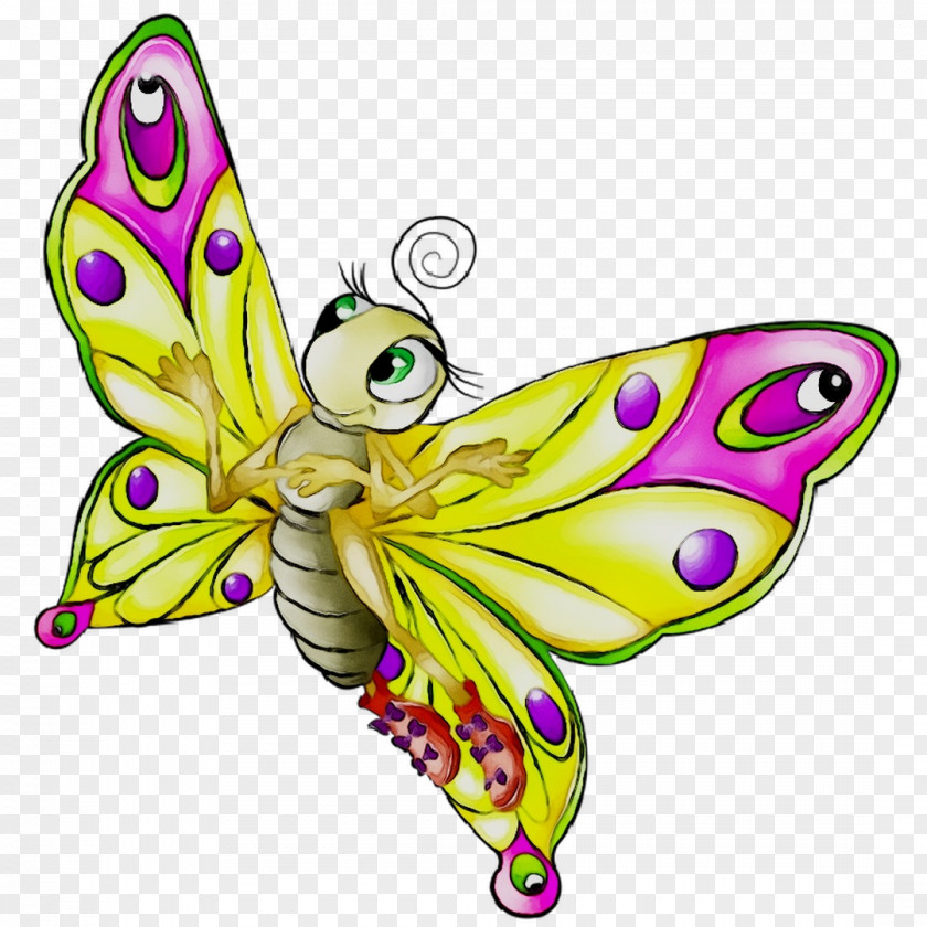 Butterfly Clip Art Image Cartoon PNG