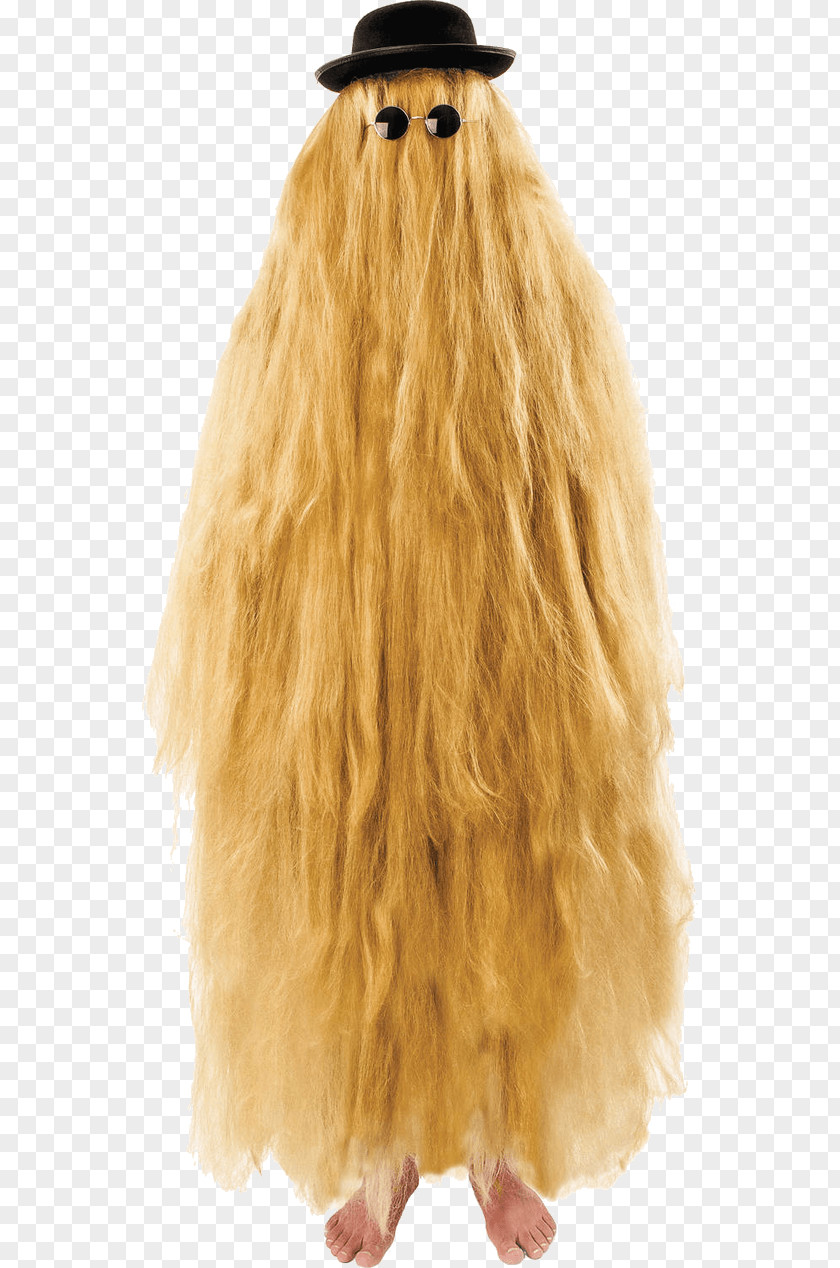 Cousin Itt Wednesday Addams Gomez Costume Party PNG