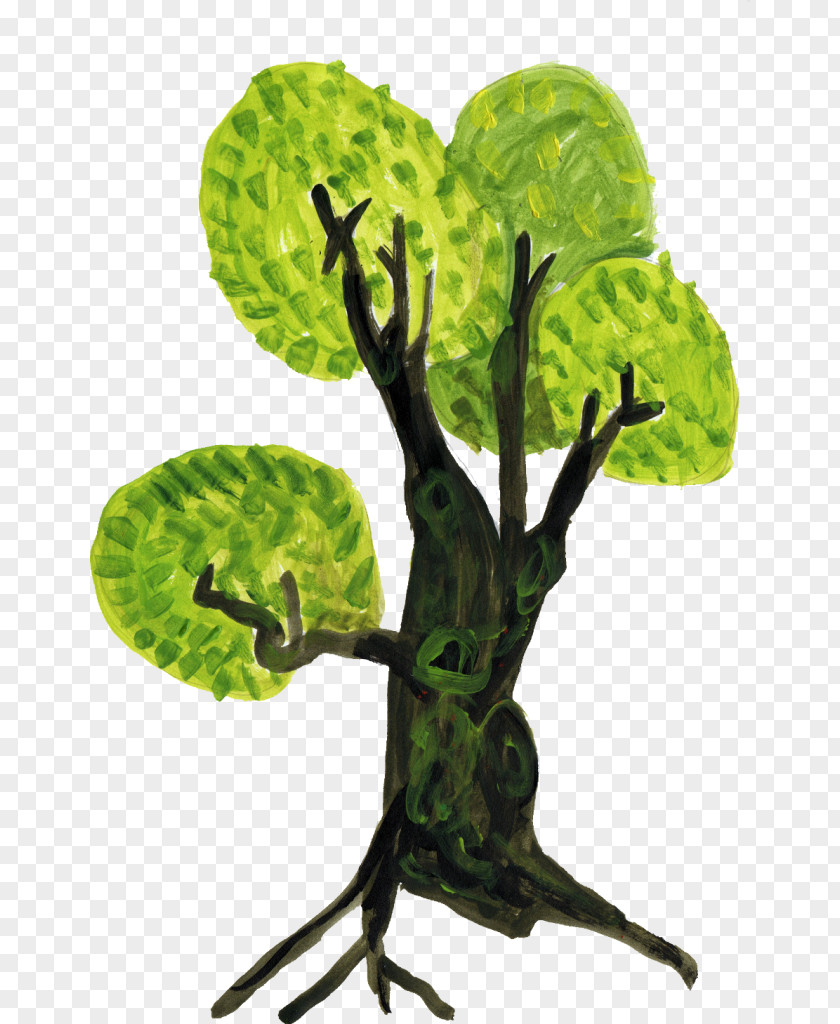 Drawn Drawing Tree PNG
