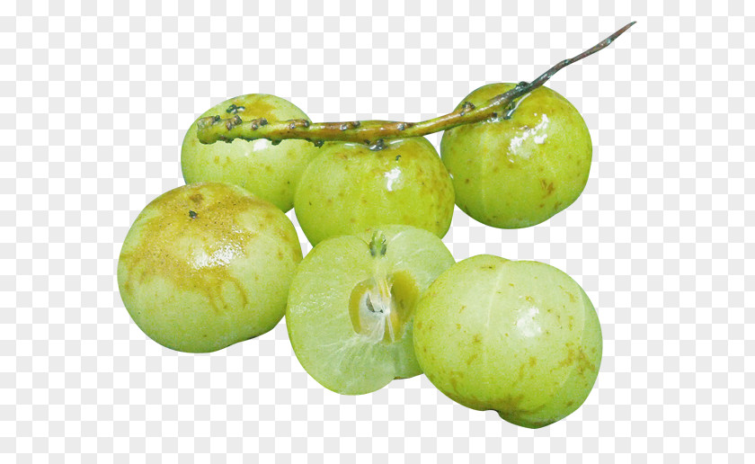 Food Greengage Enzyme Farm Alcoholic Drink PNG