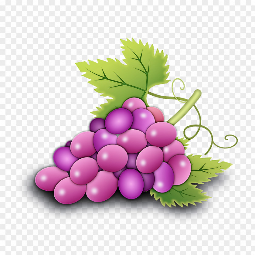 Grape Seedless Fruit Grapevine Family Plant PNG