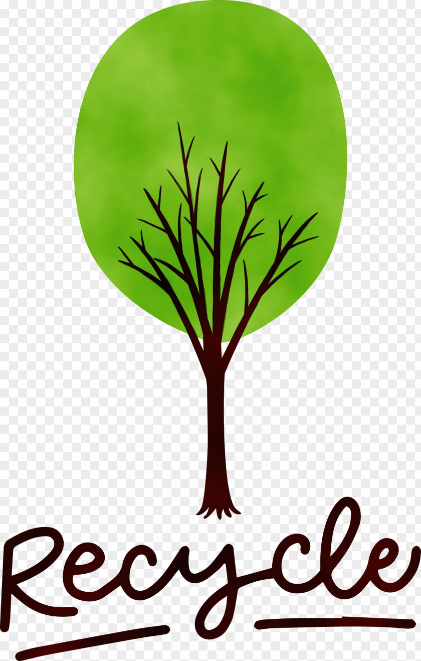 Leaf Plant Stem Logo Meter M-tree PNG