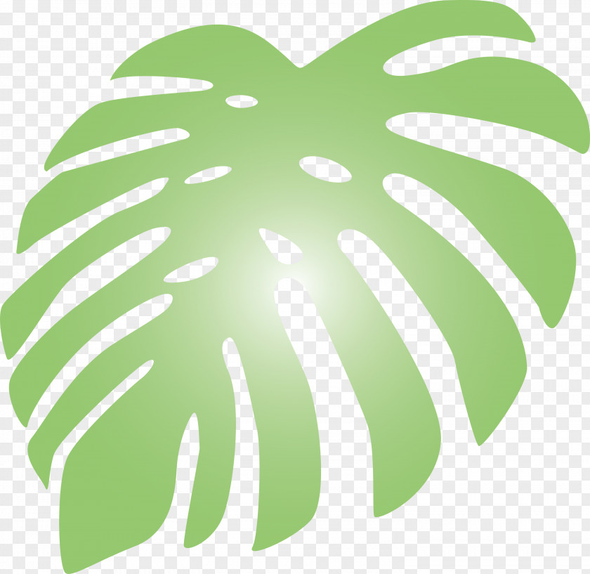 Monstera Tropical Leaf PNG