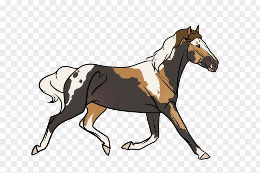 Mustang Foal Stallion Pony Bridle PNG