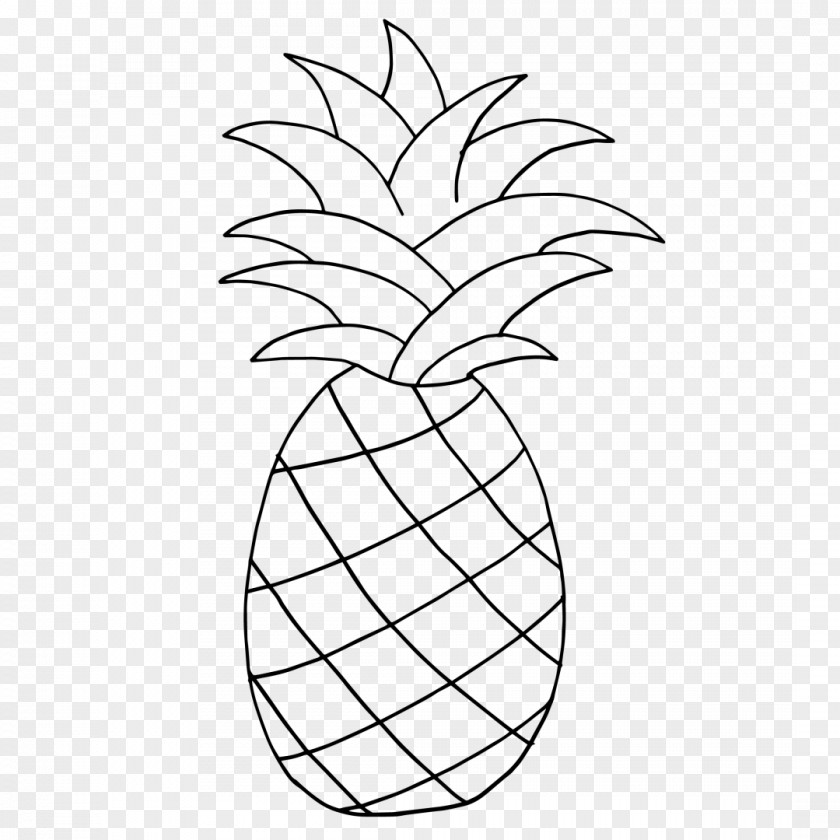 Pineapple Pattern Line Art Drawing Clip PNG