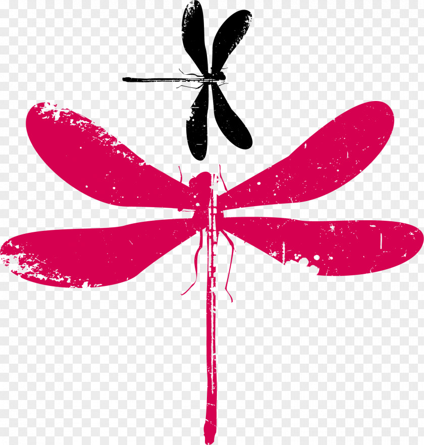 Vector Dragonfly Insect Euclidean Adobe Illustrator PNG