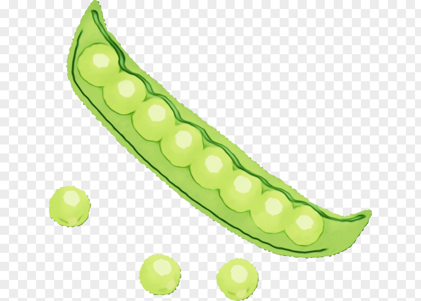 Commodity Vegetable PNG