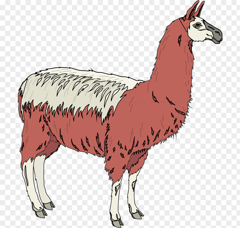 MAYONAISE Llama Sheep Alpaca Animal Clip Art PNG