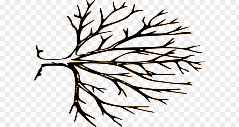 Tree Stencil Cliparts Branch Royalty-free Clip Art PNG