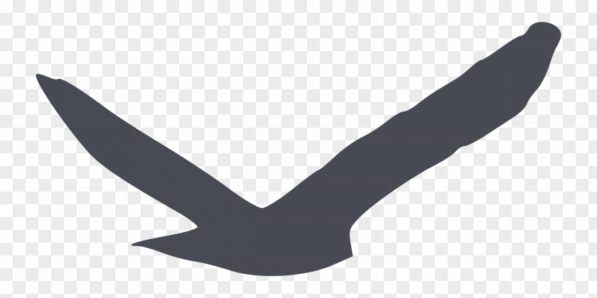 Turkey Bird Gulls Silhouette Clip Art PNG