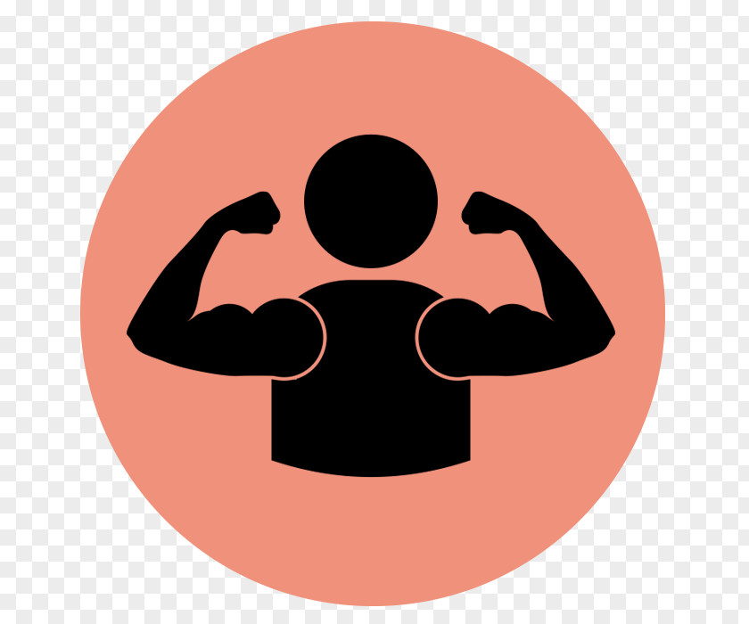 Arm Muscle Biceps PNG