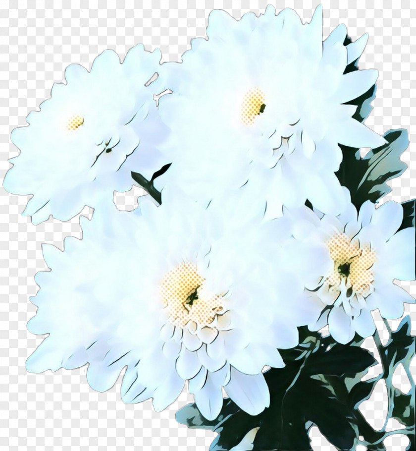 Floristry Daisy Family White Lily Flower PNG