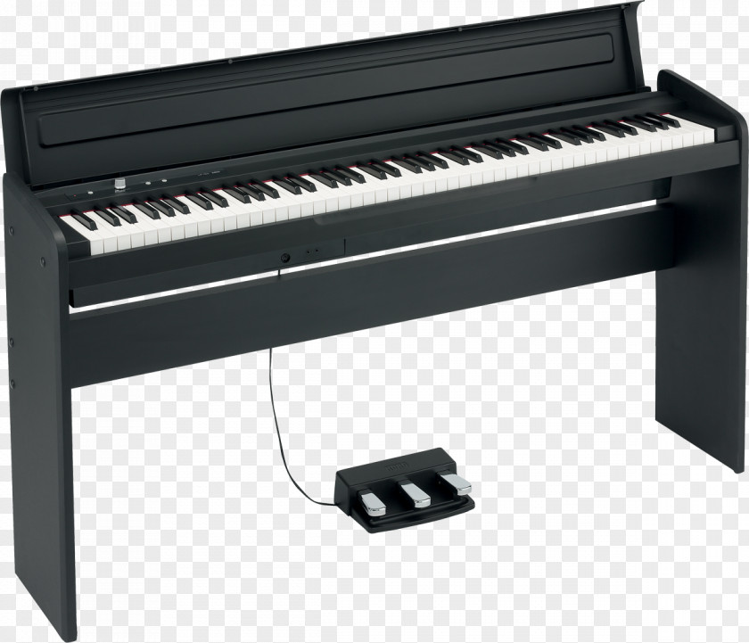 Keyboard KORG LP-180 Digital Piano LP-380 Korg B1 PNG