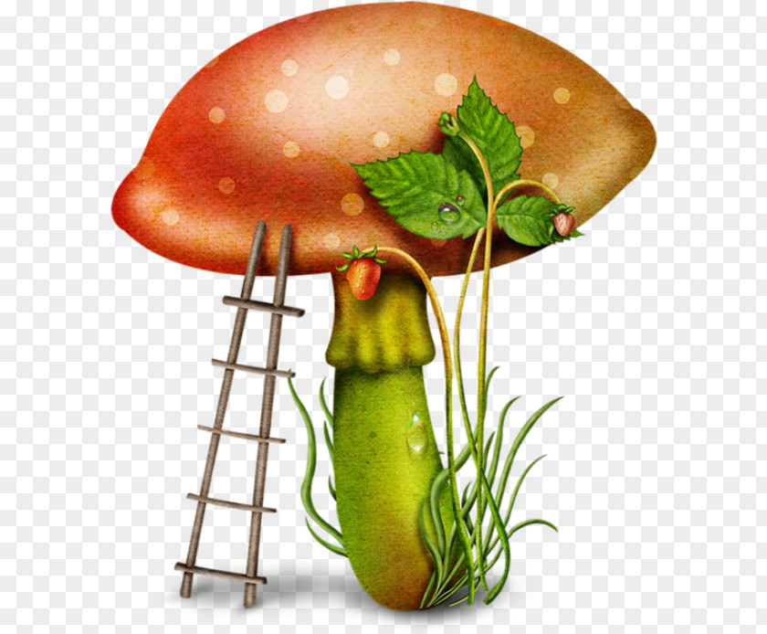 Mushroom Fungus Download Clip Art PNG