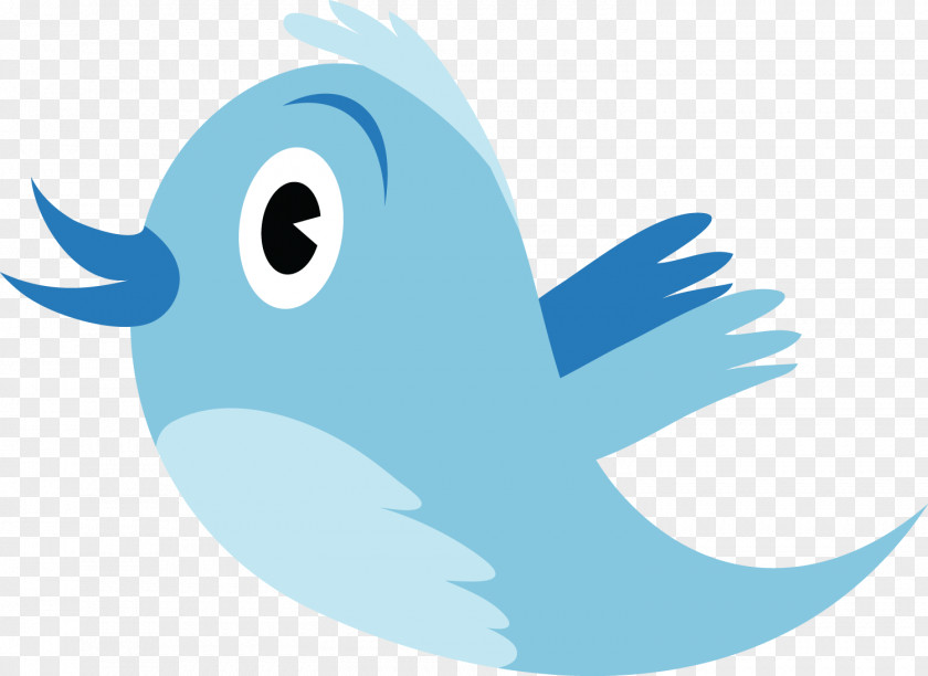 Twitter Logo Clip Art PNG