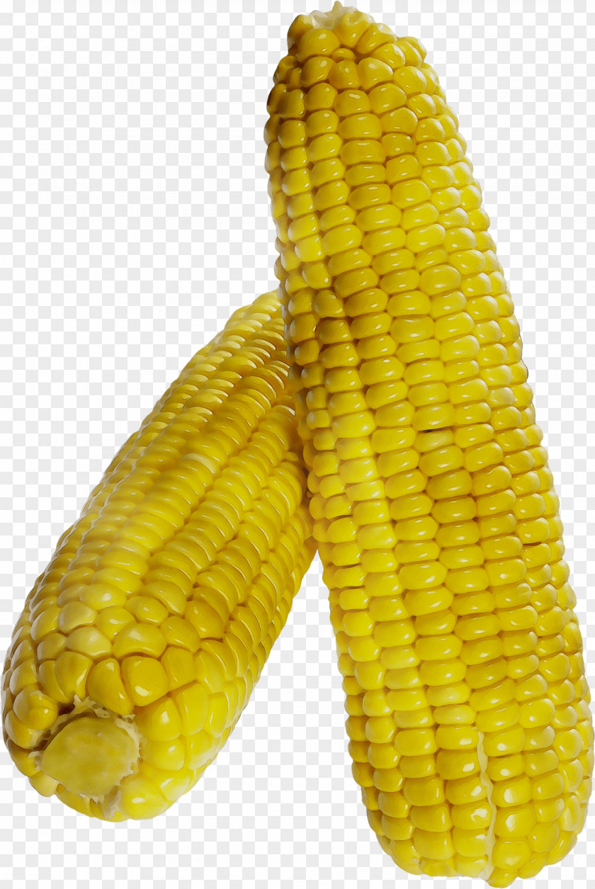 Corn On The Cob Sweet Kernel Fruit PNG