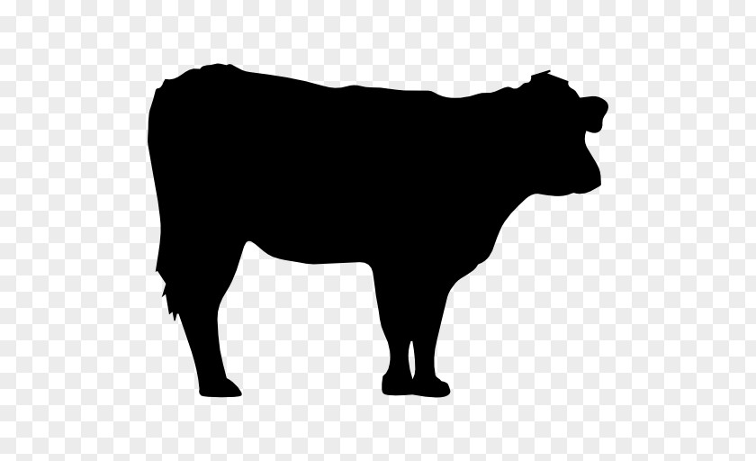 Cows Vector Hereford Cattle Santa Gertrudis Silhouette PNG
