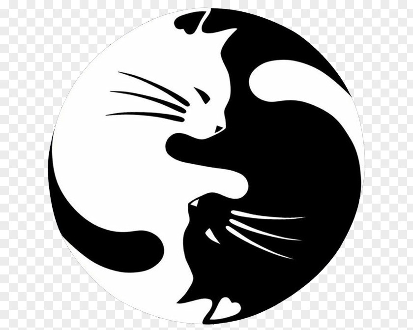 Fresh Black And White Yin Yang Jade Cat Kitten Window Decal Sticker PNG