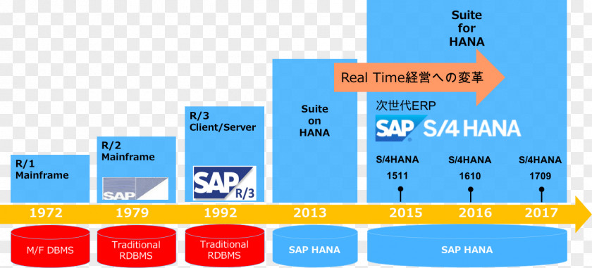 Histroy SAP S/4HANA HANA ERP SE Japan Co., Ltd. PNG