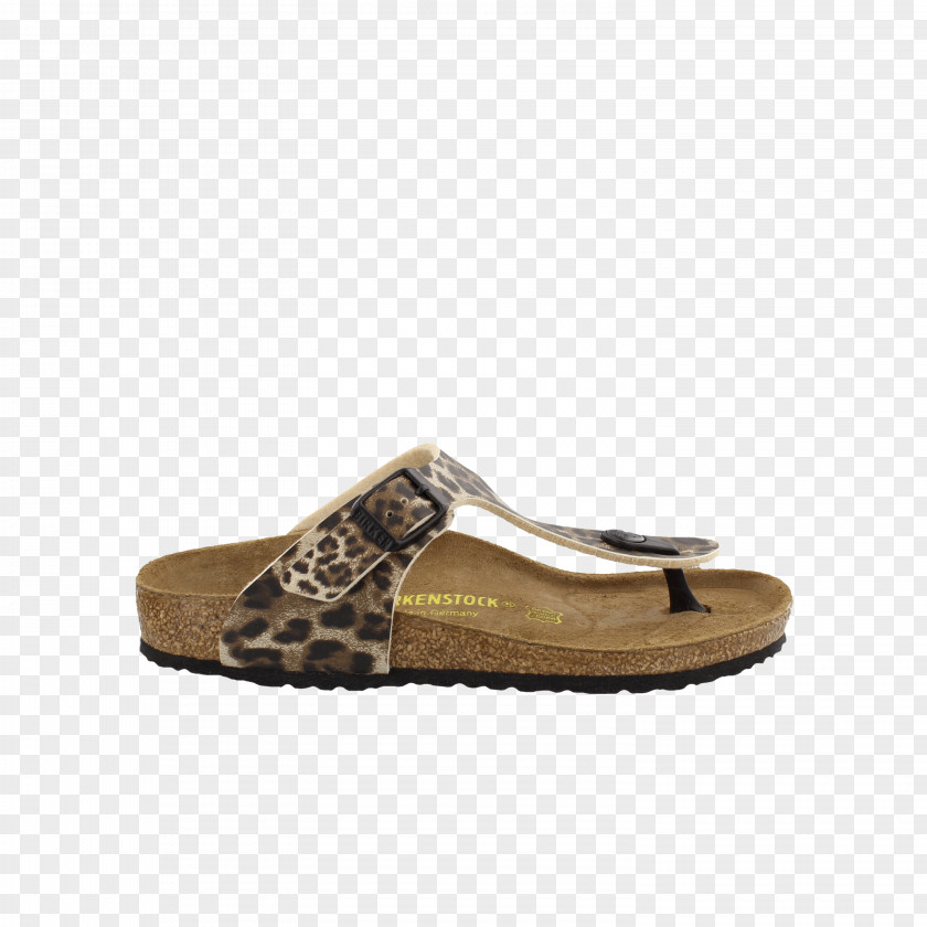Bikenstock Pattern Birkenstock Women's Gizeh Shoe Flip-flops Enkellaarsjes PNG