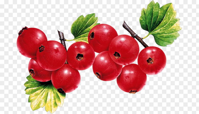 Blackcurrant Redcurrant Fruit Strawberry PNG