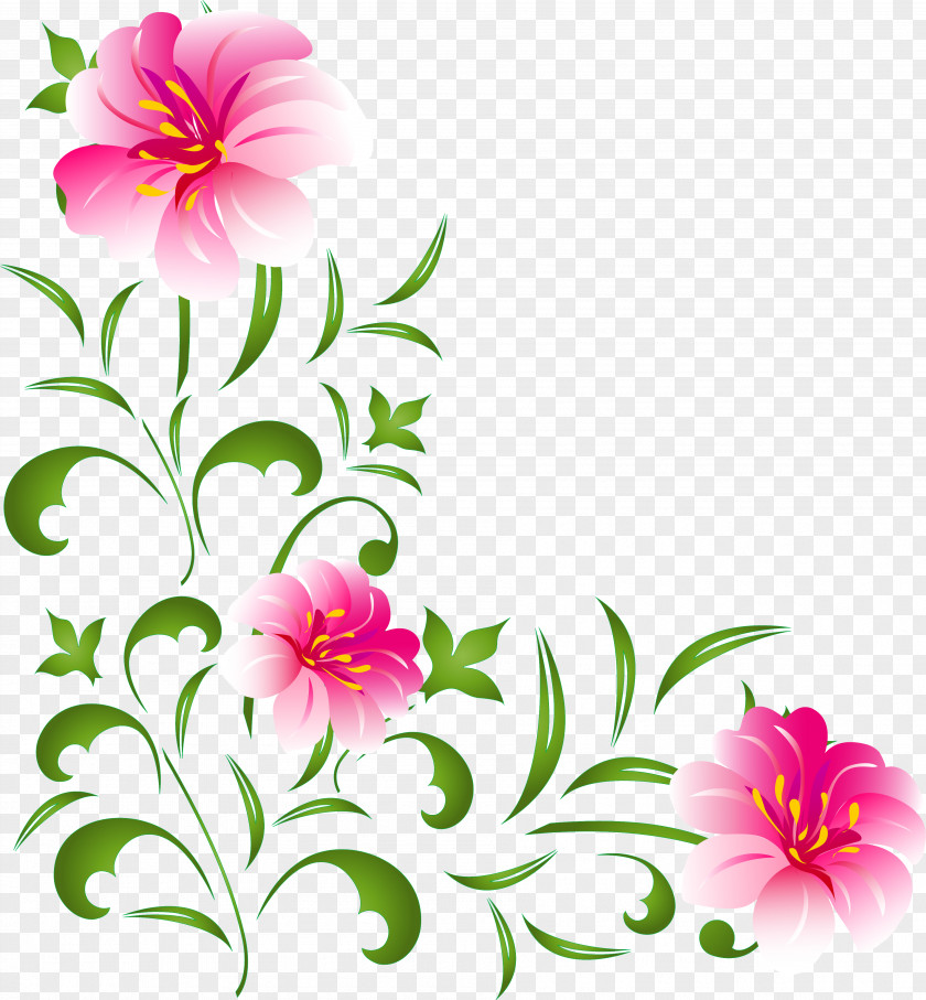 Flower Floral Design Garden Cosmos Mallows Cut Flowers PNG