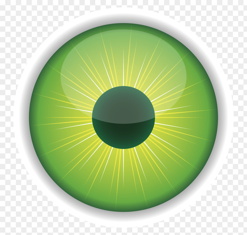 Iris Cliparts Eye Color Download Clip Art PNG
