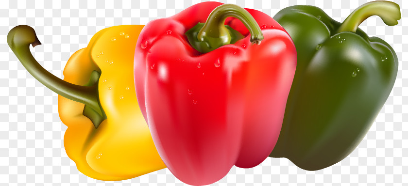 Juice Bell Pepper Vegetable Piquillo Chili PNG