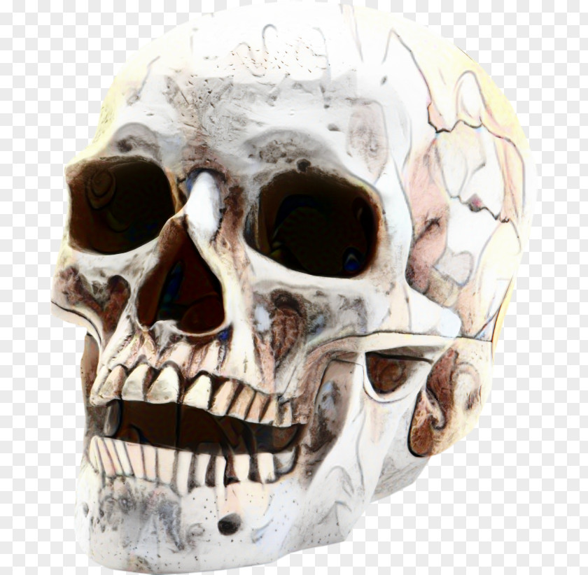 Skeleton Mouth Day Of The Dead Skull PNG
