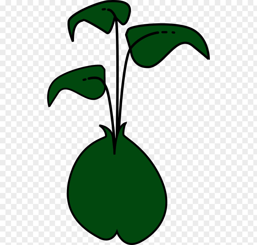 Vector Plant Sprouting Green Bean Clip Art PNG