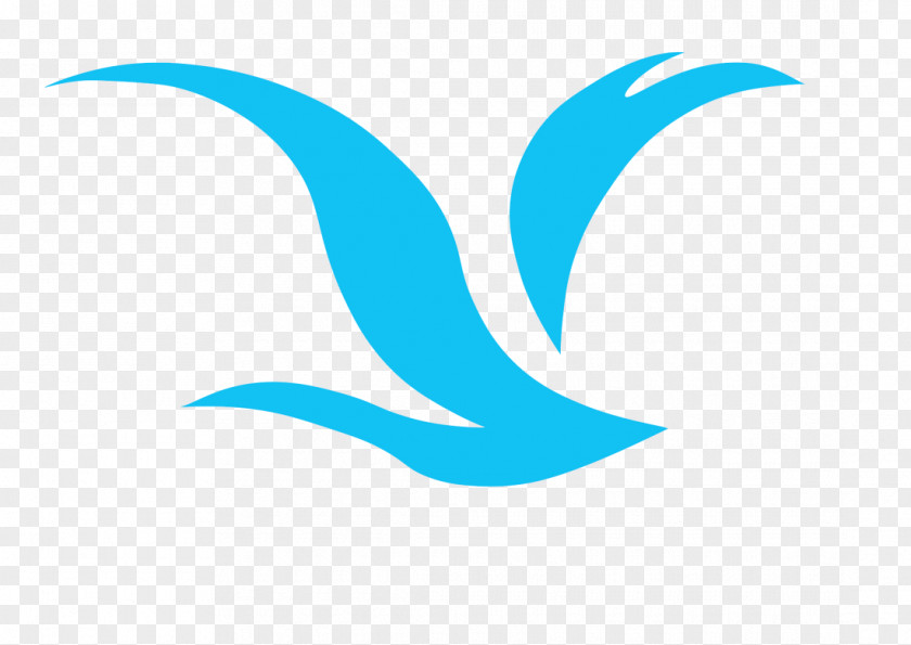 Aerial Cartoon Logo Clip Art Font Brand Desktop Wallpaper PNG