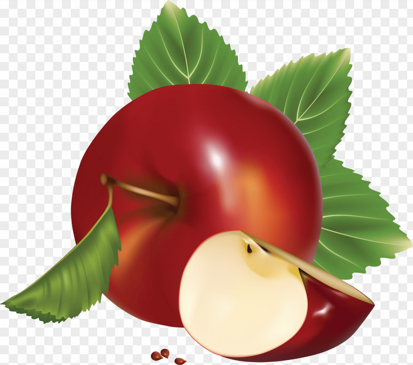 Apple Image Clip Art PNG